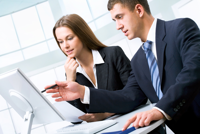 Meridian's consulting services